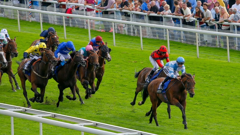 Euchen Glen (yellow with stars) stays on strongly to finish third
