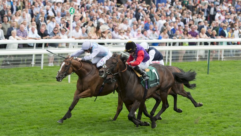 Montaly (left) stays on strongly under PJ McDonald to beat Dartmouth