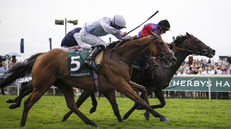 Montaly (near side) powers home to overhaul Dartmouth in the Lonsdale Cup