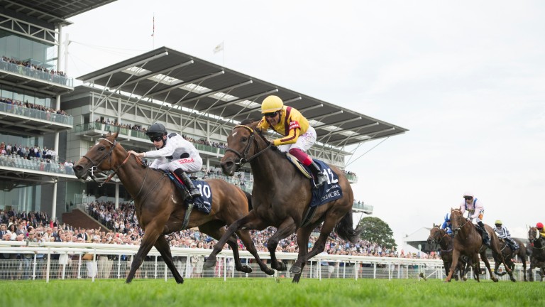 Marsha and Luke Morris (left) beat Lady Aurelia and Frankie Dettori in the Nunthorpe