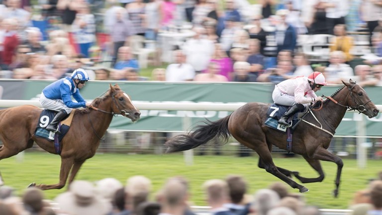 The well-bred Dream Today surges clear to make a winning start