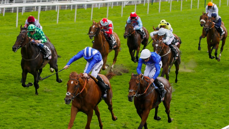 Erik The Red (green) makes good headway from the rear to finish third