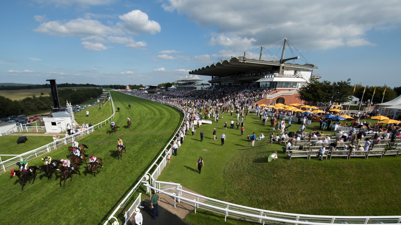 Goodwood Edward Whitaker captures the action on the Downs Horse