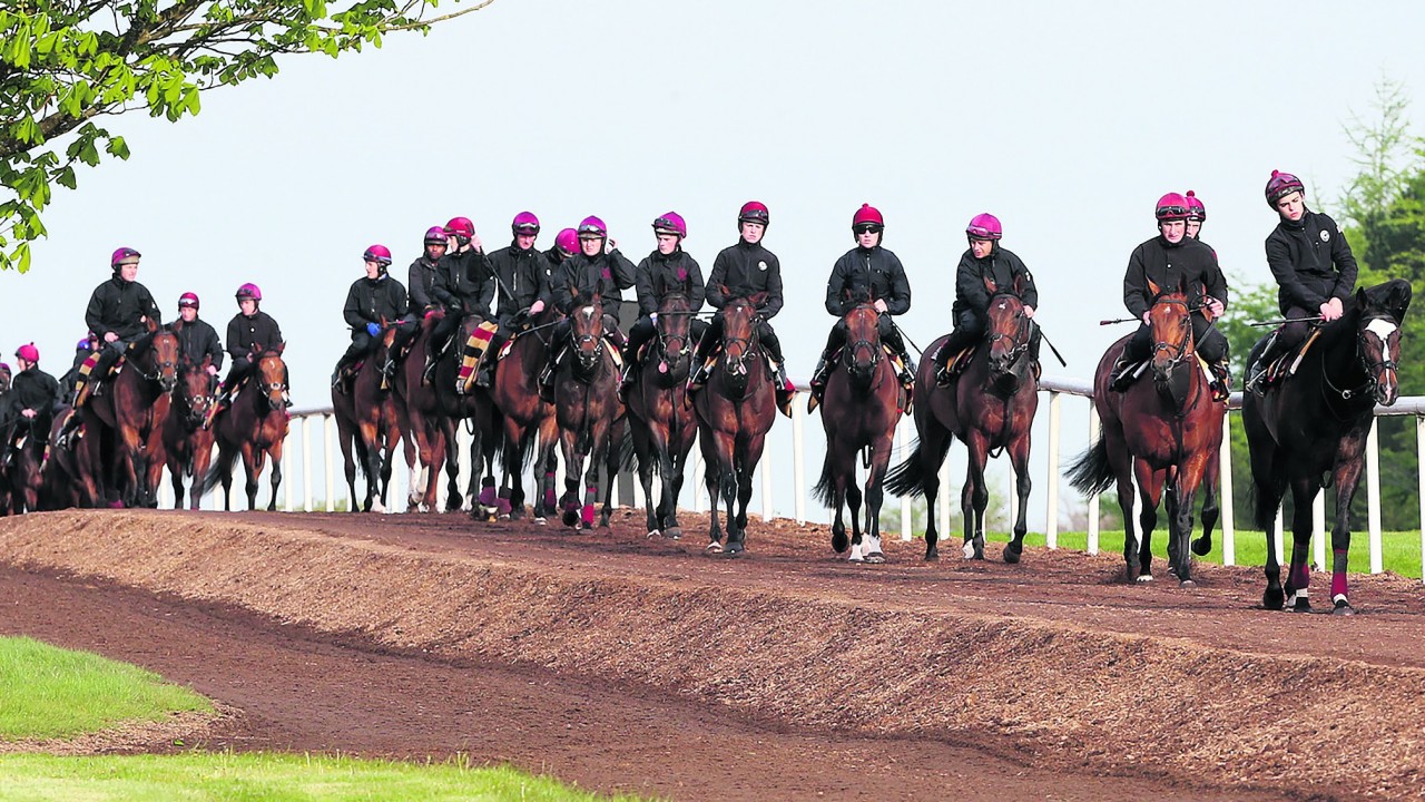 Powerful Pages Give These Five Ballydoyle Babies The Edge Bloodstock News Racing Post