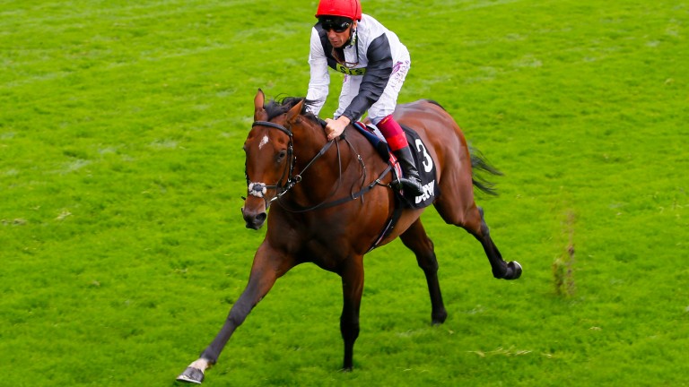 Cracksman: the impressive winner of the Great Voltigeur heads for the Champion Stakes