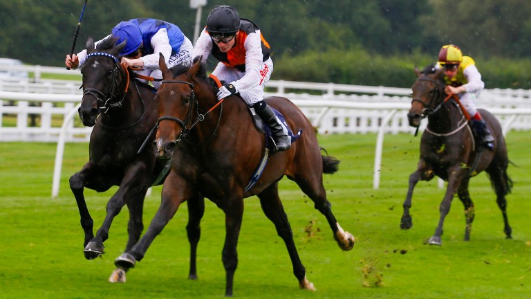 Teppal (black cap) runs out the cosy winner of a Lingfield maiden to initiate a five-timer for her sire Camacho