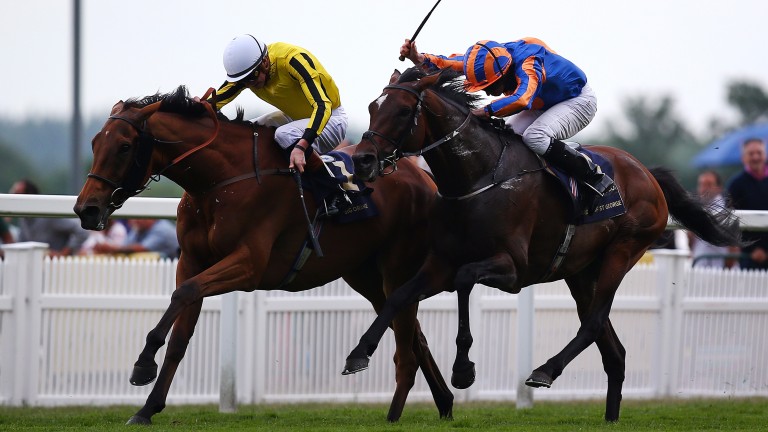 Possible Ascot Gold Cup rematch: Big Orange (left) holds off Order Of St George at Royal Ascot in June