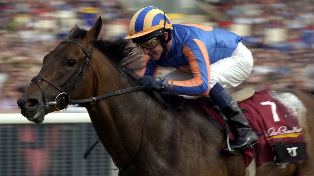 Mozart makes horses happier says operasinging trainer Main but avoid