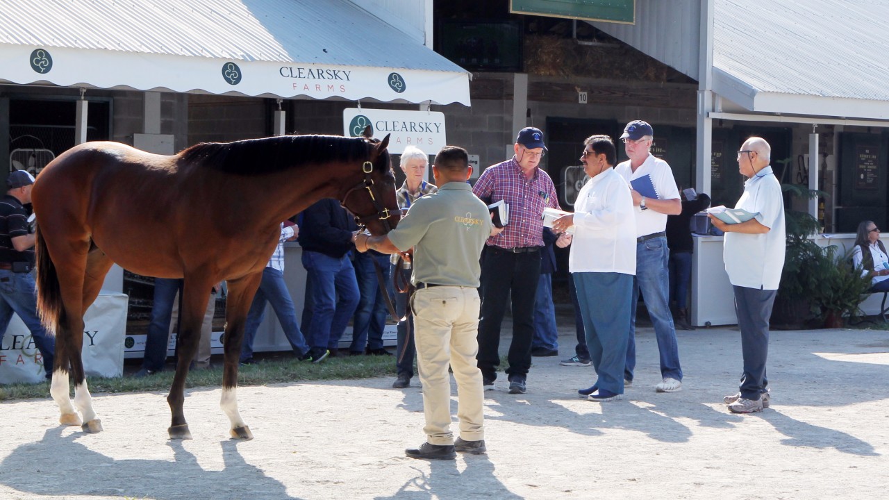 Lexington Abuzz As Big Players Roll Into Town For Book 1