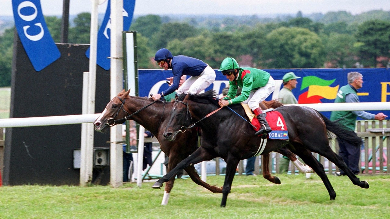 classic causeway horse next race