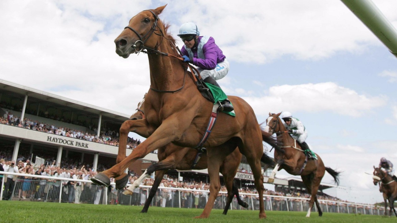 Horse racing betting golden rules golden dog racing games betting