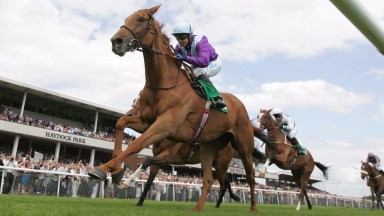 Barshiba: impressive winner of the Lancashire Oaks at Haydock