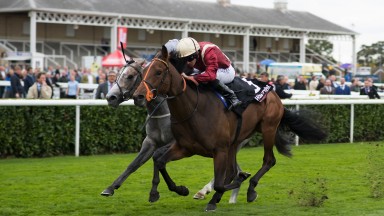 Ace filly: Ryan Moore secures a double as Heartache (near) edges in front of Havana Grey in the Group 2 Flying Childers Stakes