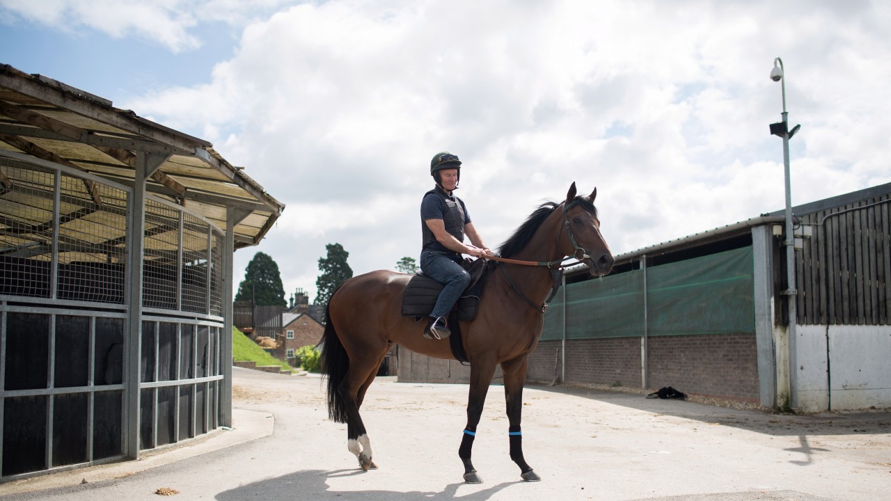 Ribchester the star of the show as Malton opens doors to public Horse