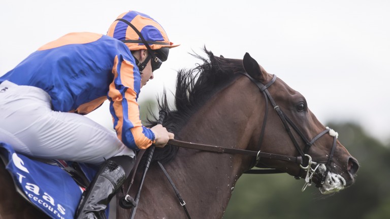Seahenge: Champagne Stakes winner heads to the Dewhurst