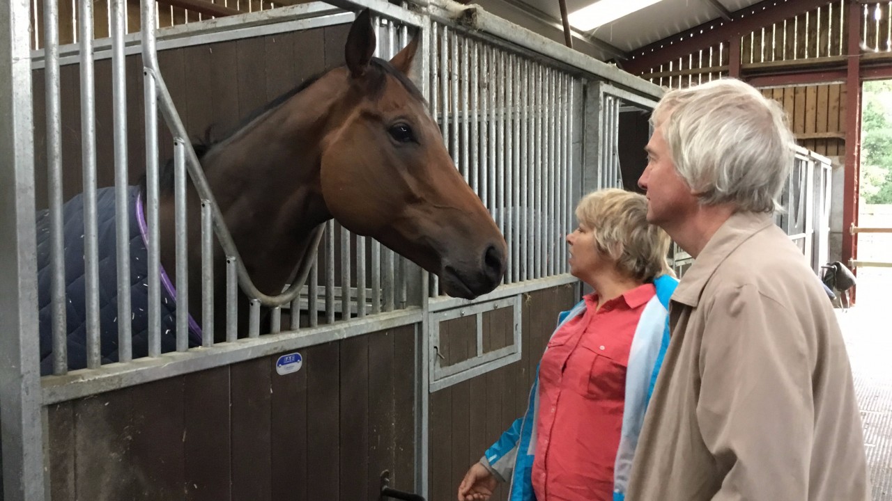 Sunday Best For Stars On Show As Malton Opens Stable Doors Horse Racing News Racing Post