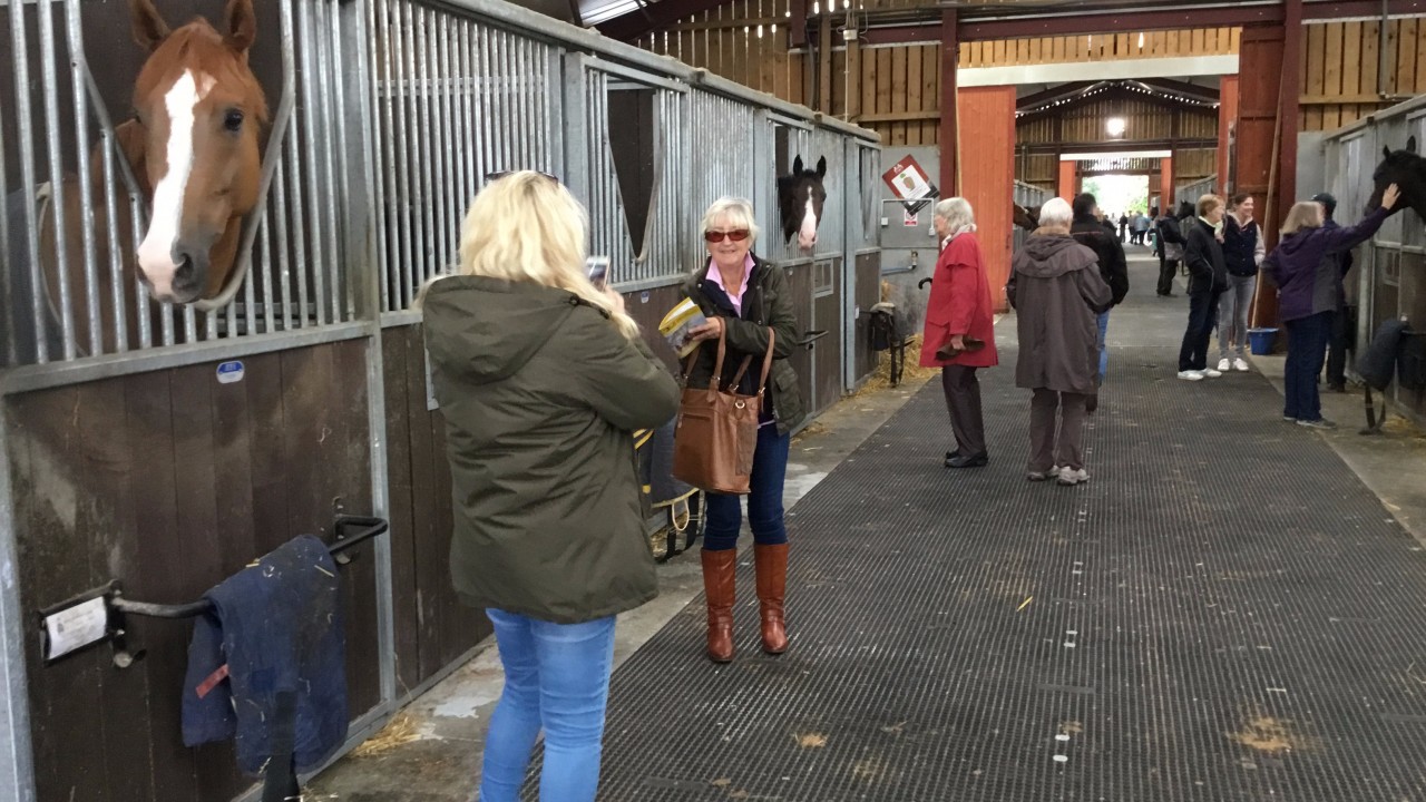 Sunday Best For Stars On Show As Malton Opens Stable Doors Horse Racing News Racing Post