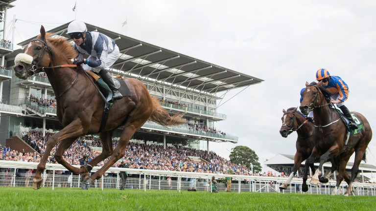 Ulysses and Jim Crowley power to victory at York