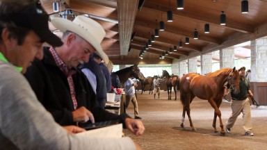 2017 Keeneland September Sale