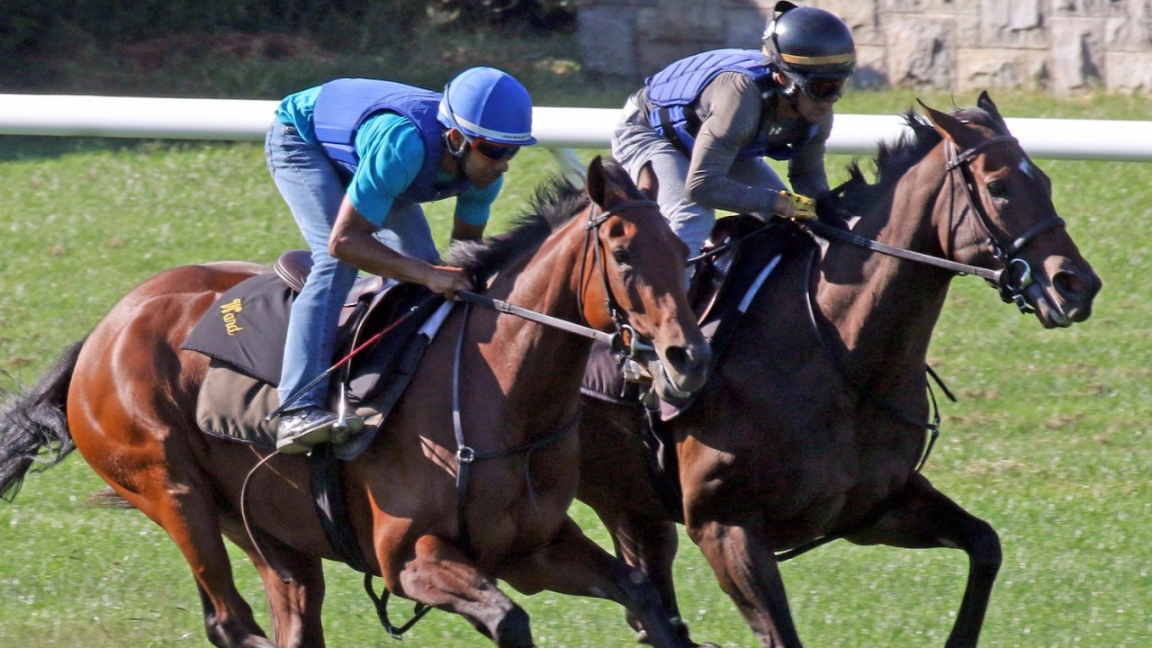Sdster Lady Aurelia Wows Ward In Workout On The Road To Del Mar Lady Aurelia Julio Garcia Far Side Works Alongside Lemate Childhood At Keeneland On Tuesday