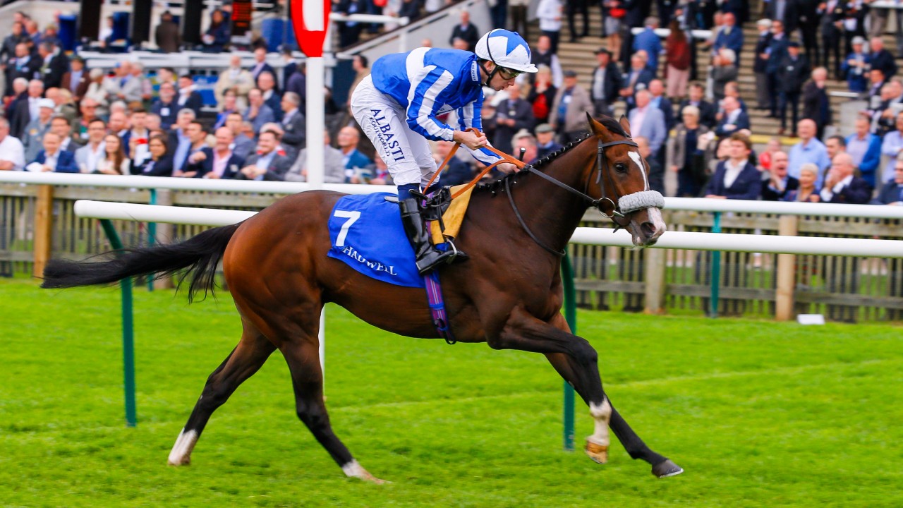 Andrew Balding powered up for new campaign with biggestever string