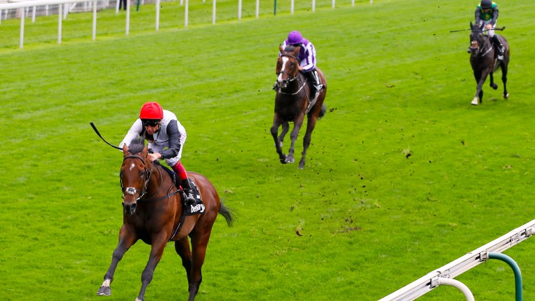 Cracksman romps away with the Group 2 Great Voltigeur at York in August