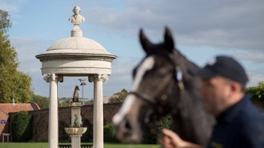 Tattersalls: a yearling parades in front of the iconic Park Paddocks fox