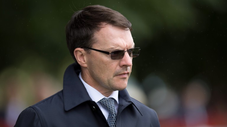 Aidan O'Brien: just two winners short of equalling Bobby Frankel's record