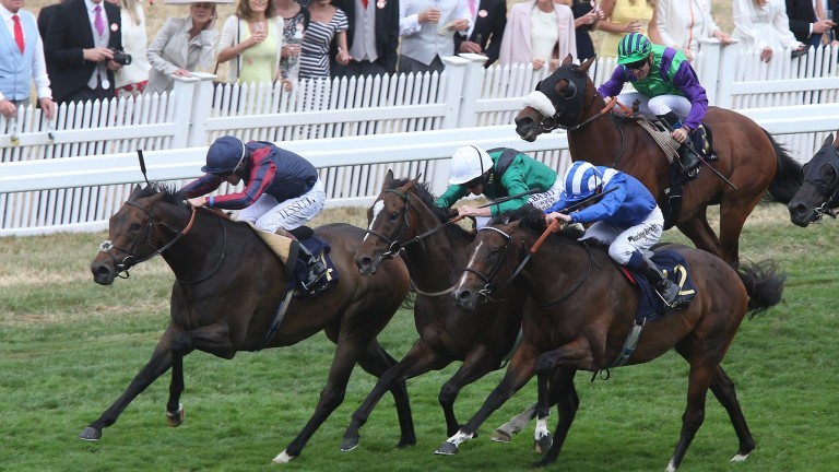 The Tin Man ridden (Tom Queally) winning The Diamond Jubilee at Royal Ascot in June from Tasleet (striped cap) and Limato