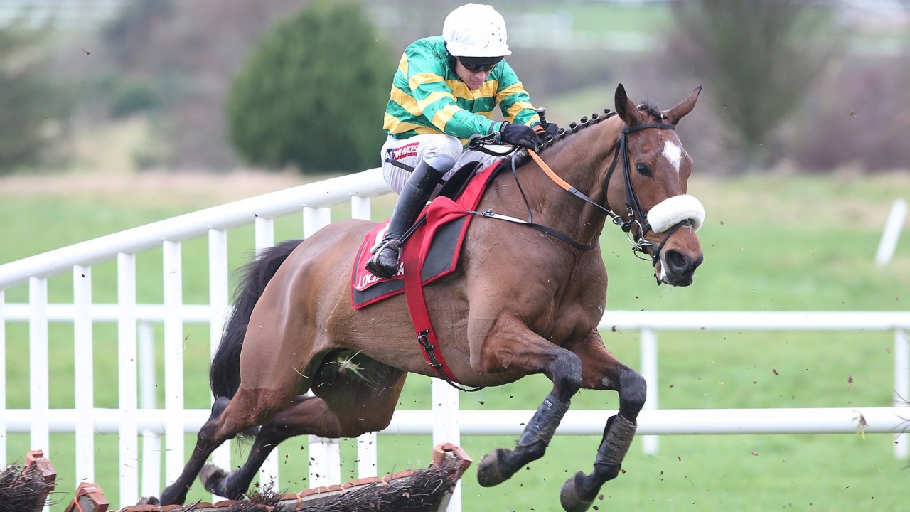 David Jennings with five dark horses for the Dublin Racing ...