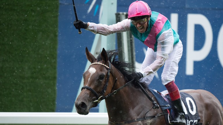Enable: counts King George and Arc among her victories this year
