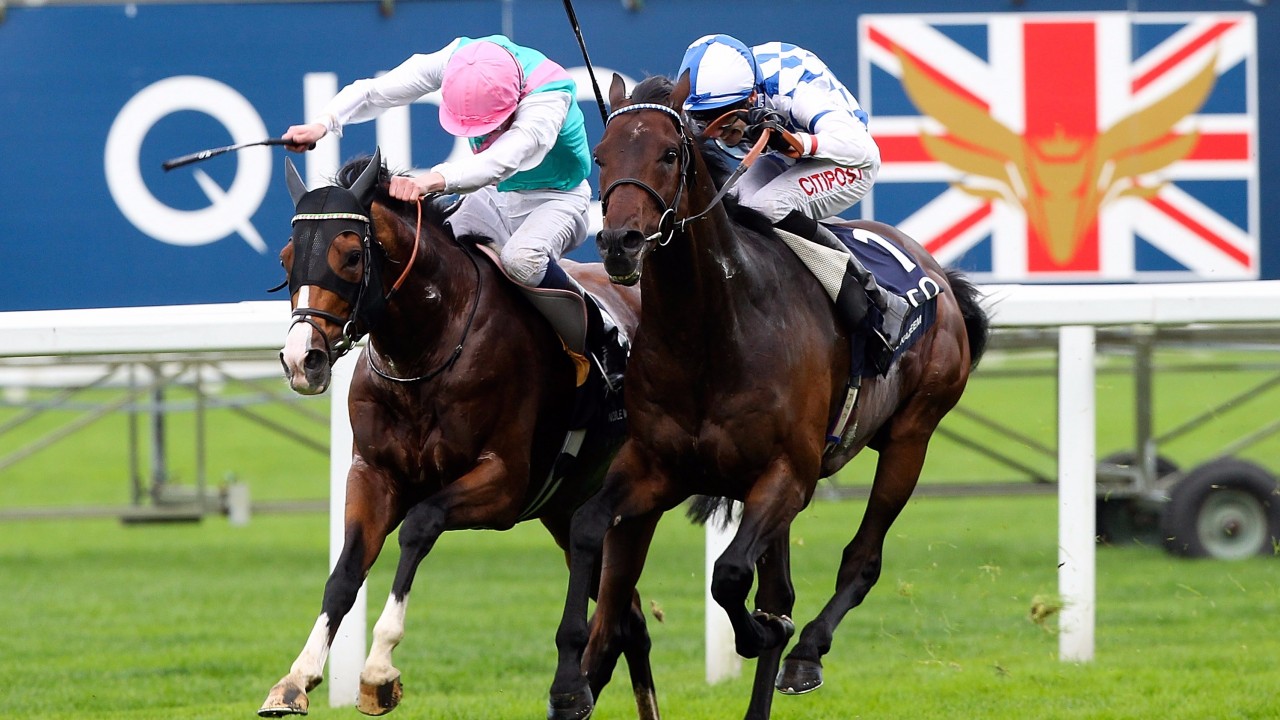 Noble Mission emulates brilliant brother for a fairytale win Horse