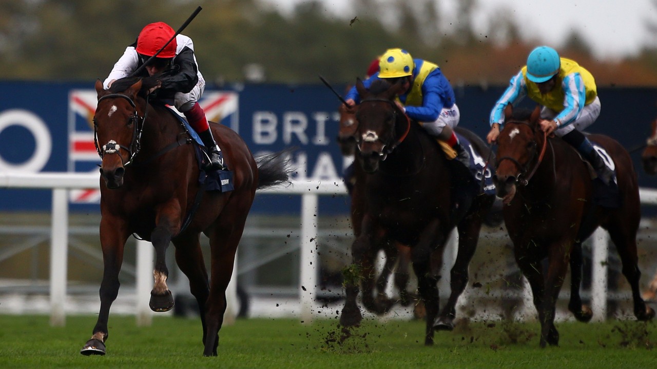 Cracksman out to crown grand reopening with show worthy of the occasion