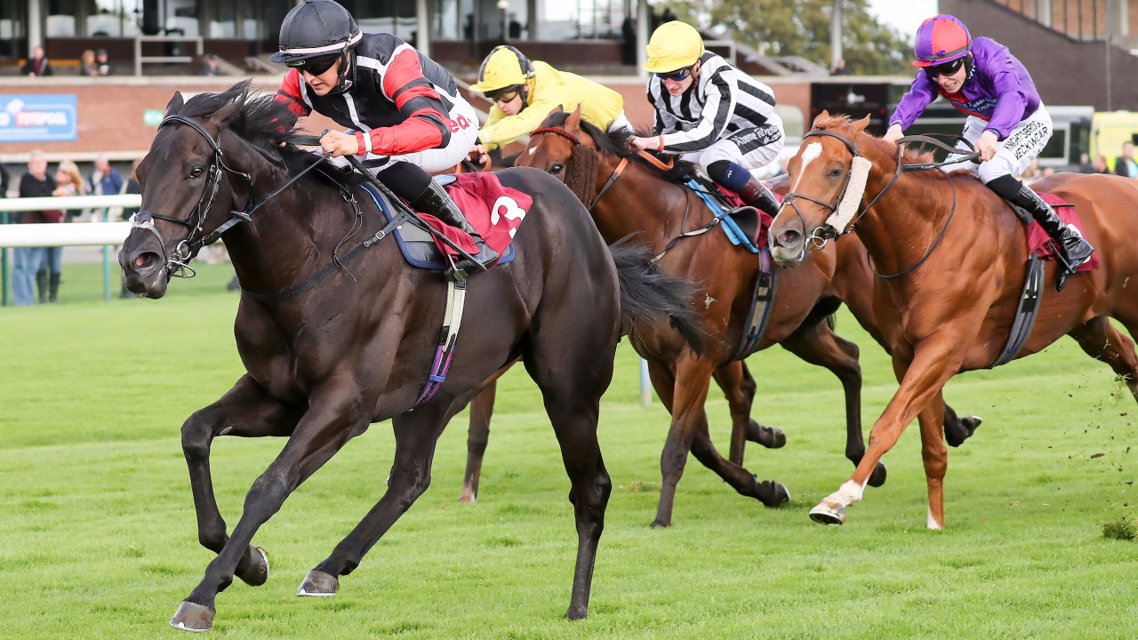 Get Hyperfocus Racing Post Background