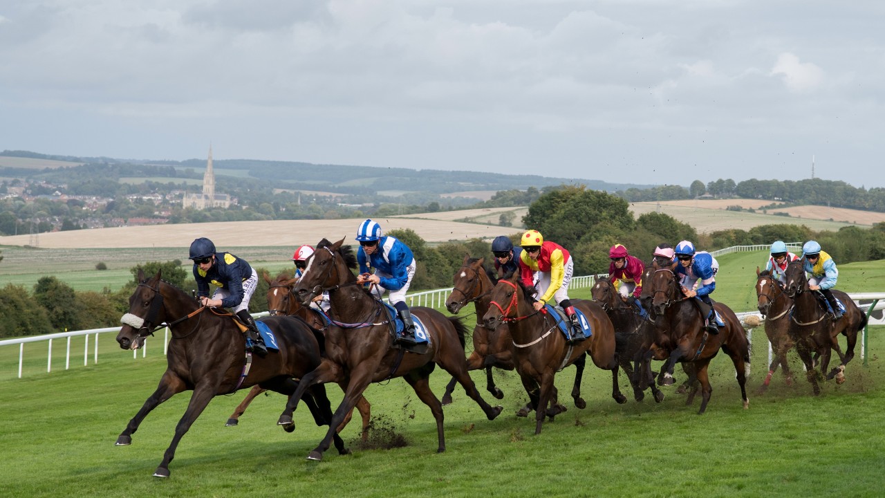 This Evening S Meeting Three Runners Who Catch The Eye At Salisbury Horse Racing News Racing Post