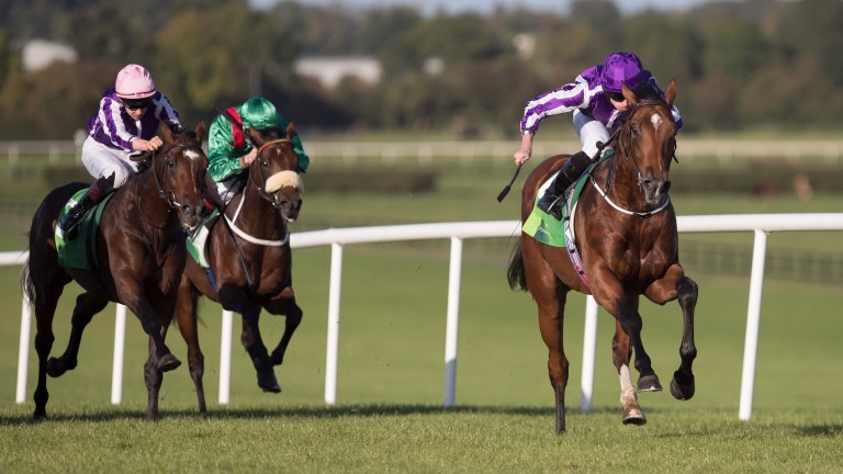 Saxon Warrior (right): the son of Deep Impact lands the Group 2 Juddmonte Beresford Stakes