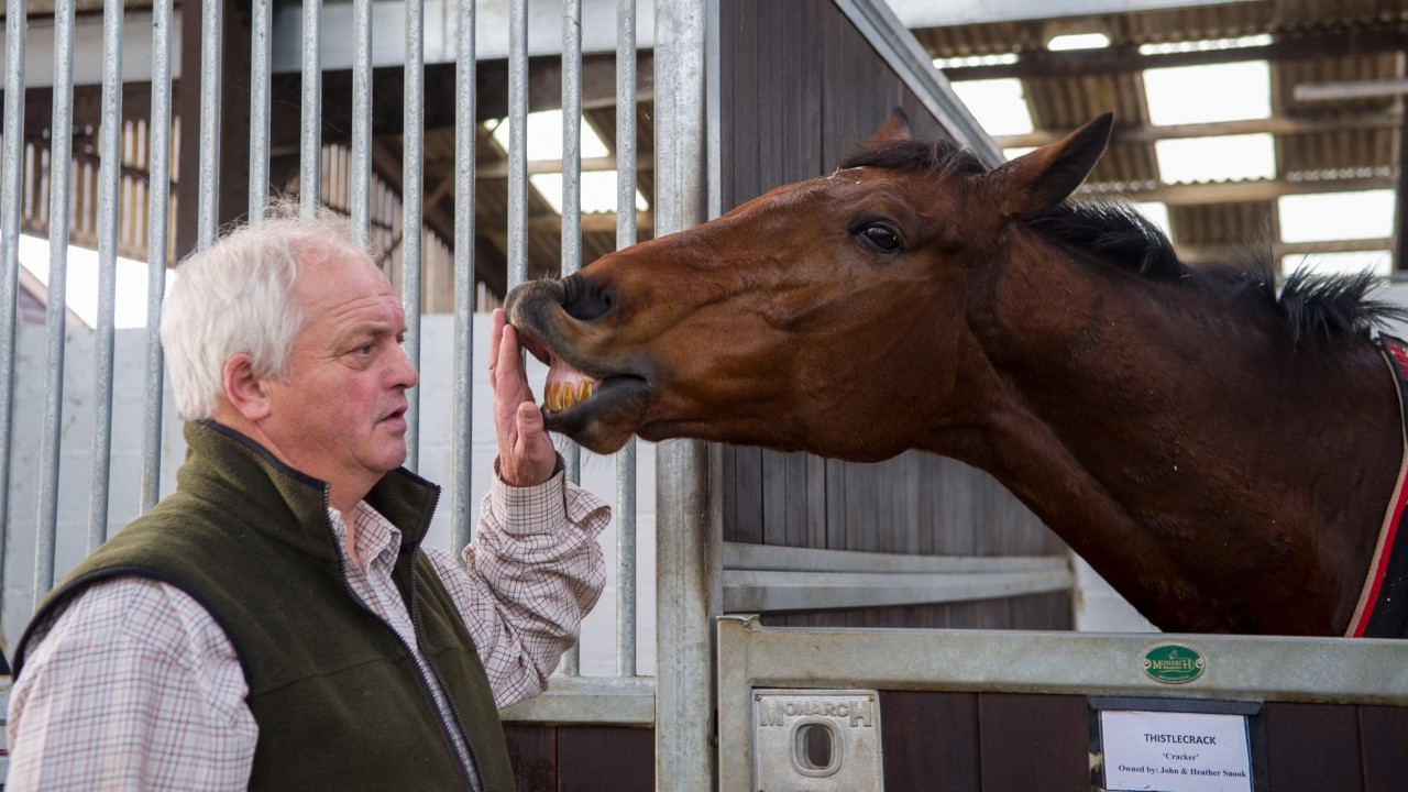 Thistlecrack Latest Watch Colin Tizzard S Updates On His Big Names Horse Racing News Racing Post