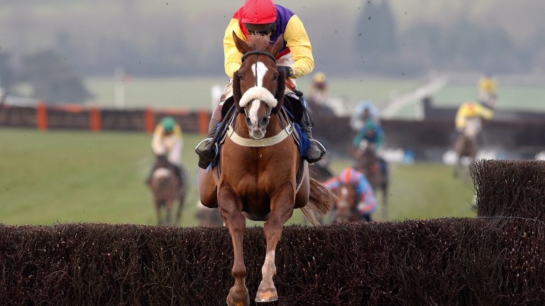 Native River: could win a Gold Cup with an easier campaign says Colin Tizzard