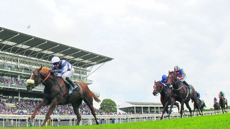 Ulysses (Jim Crowley) impresses in the Juddmonte International Stakes