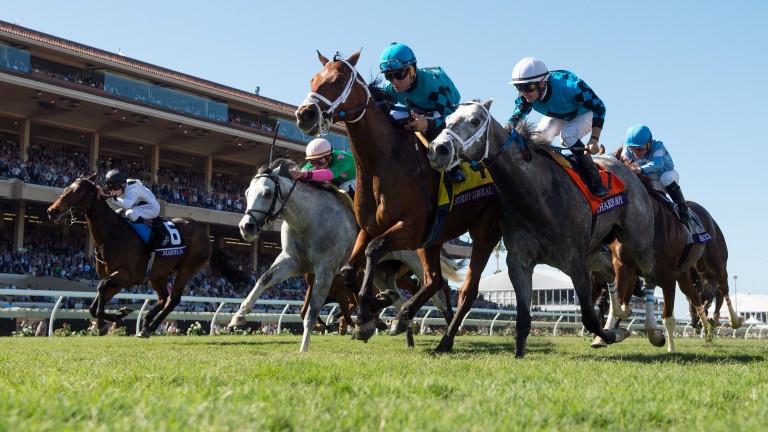 Stormy Liberal (left) beats stablemate Richard's Boy