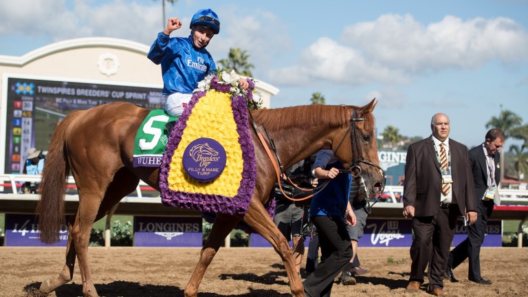 Wuheida and William Buick after their Breeders' Cup win