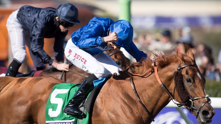 William Buick celebrates winning on Wuheida