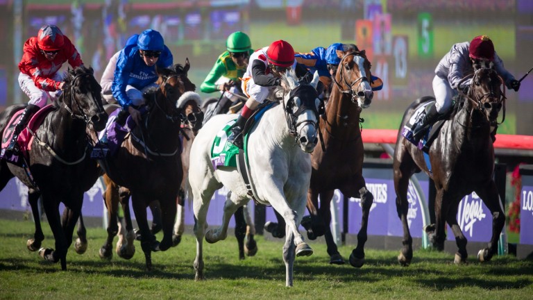 World Approval (grey) wins the Mile