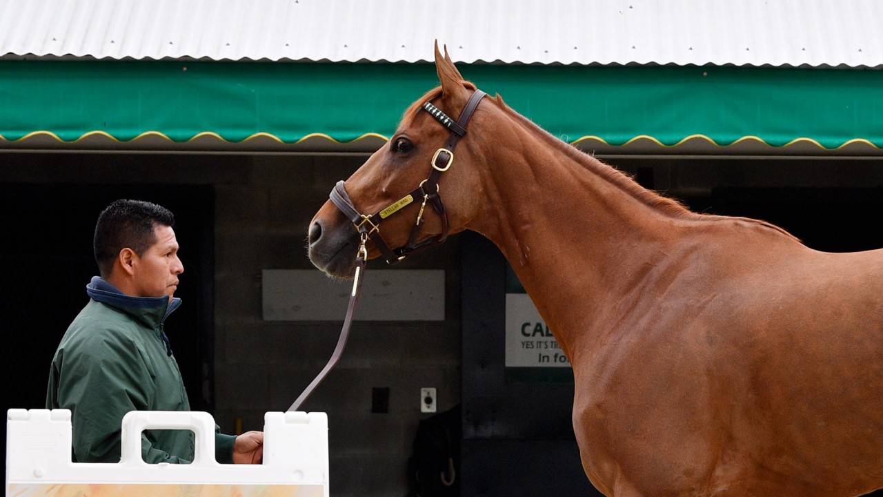stellar wind jacket