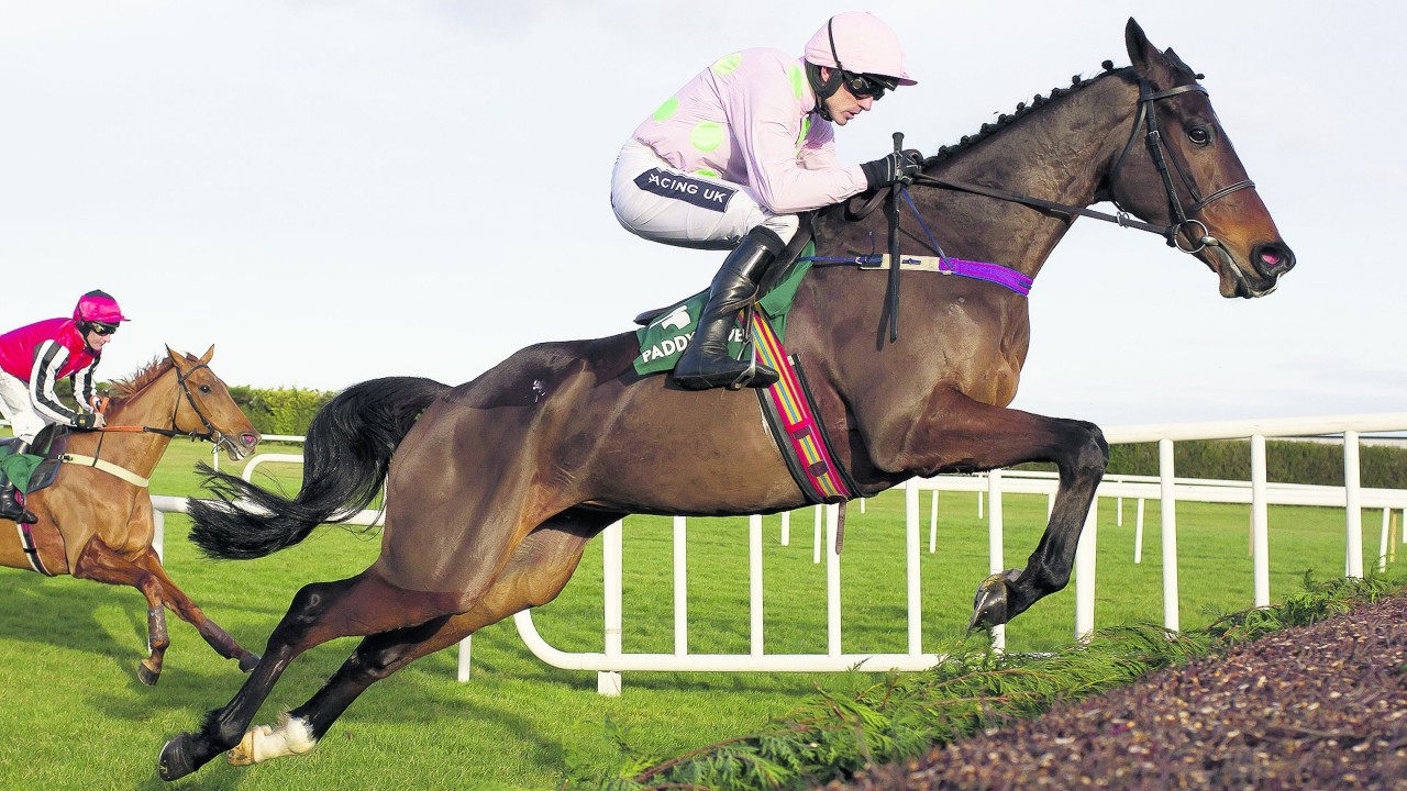 Douvan brother catches the eye among 445 Derby Sale entries