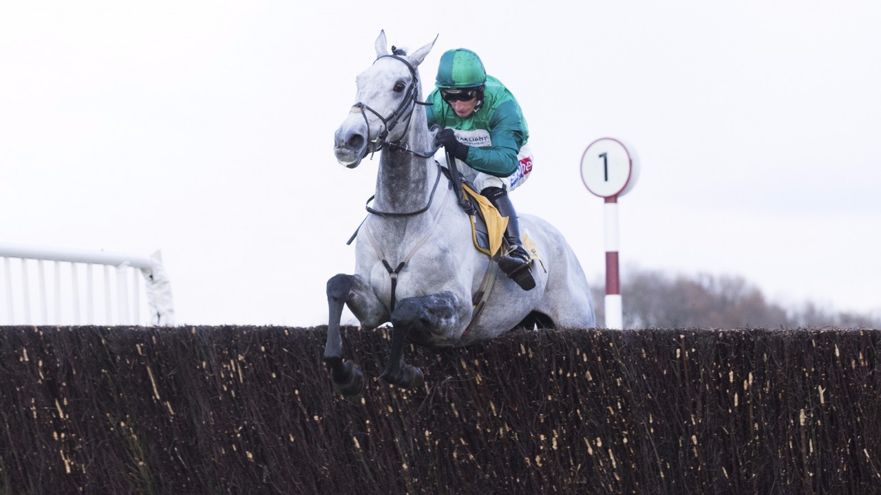 Bristol De Mai overpriced for big King clash reckons bullish