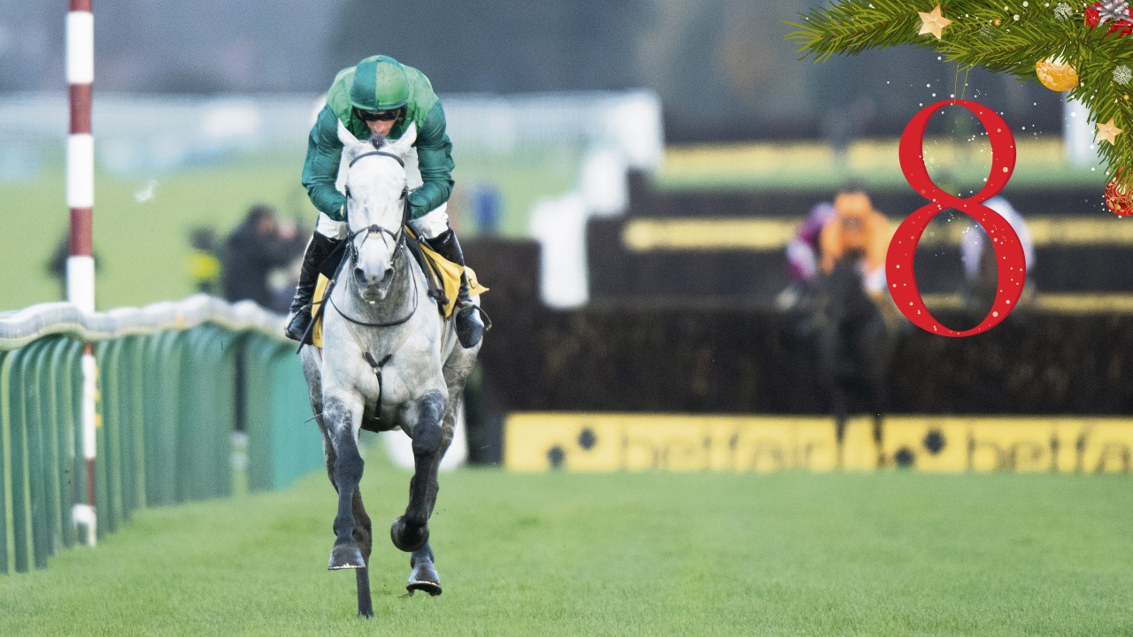 Horse racing betting terms Horse racing betting terms