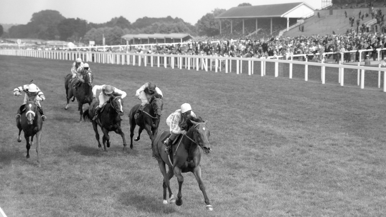 'He was a great champion, the best Flat horse trained in Britain in the