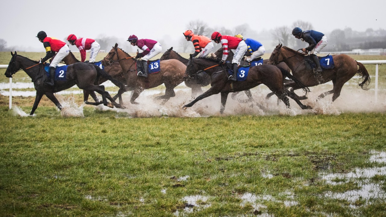 The Best Images From Kinloch Brae Chase Day At Thurles Horse Racing News Racing Post