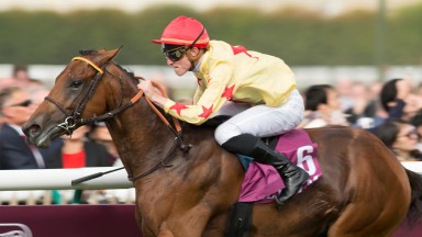 National Defense ( Pierre-Charles Boudot) wins the Prix Jean-Luc LagardereChantilly 2.10.16 Pic: Edward Whitaker